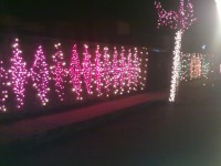 /album/eid-milad-un-nabi/a15022011011-jpg/